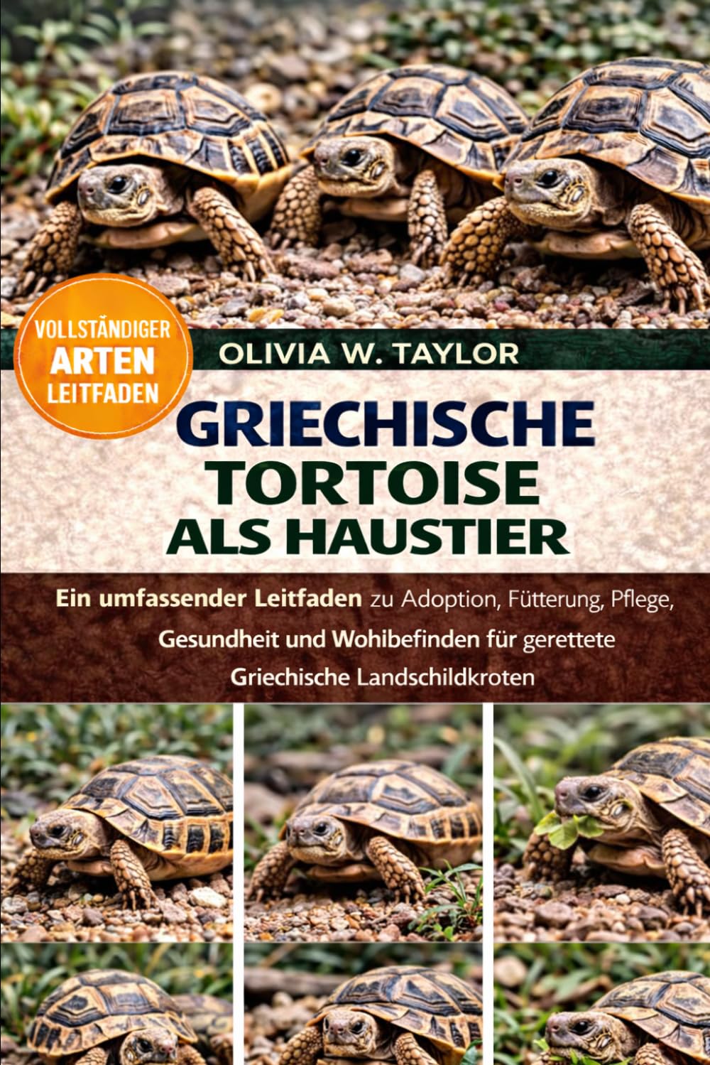 GRIECHISCHE TORTEOISE: Ein umfassender Leitfaden zu Adoption, Fütterung, Pflege, Gesundheit und Wohlbefinden für gerettete Griechische Landschildkröten