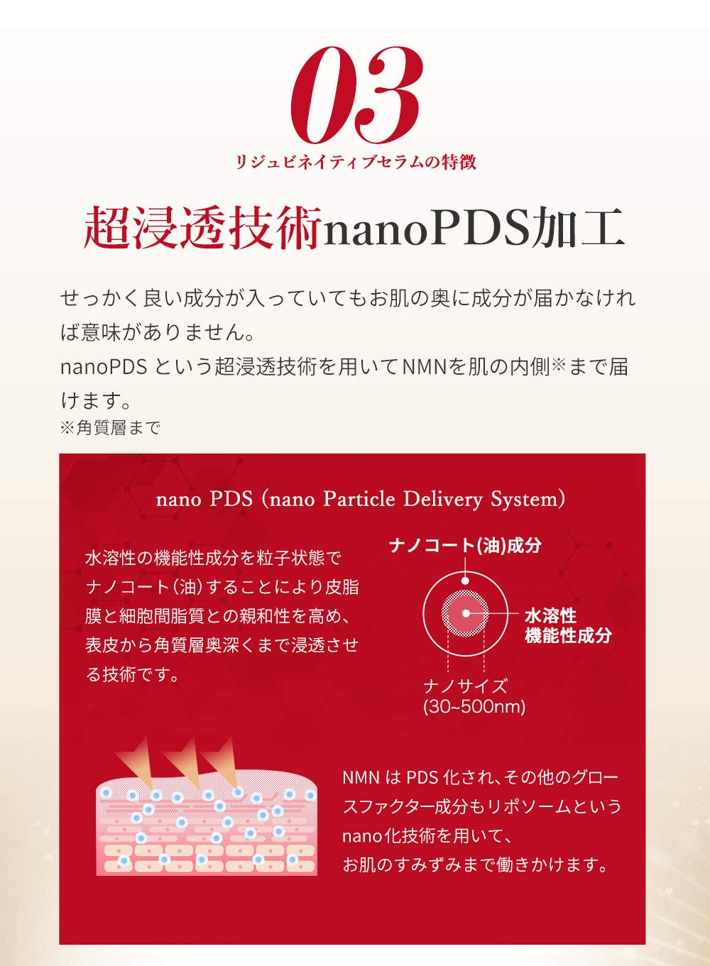 NMNPDSセラム フェイスクリーム 超浸透オールインワン スキンケア 30g