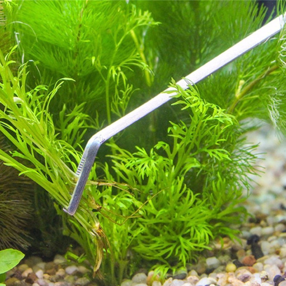 Jumbo Size 27cm Stainless Steel Curve Tweezer/Clipper/Tong Scissor for Maintenance of Planted Aquarium or Reef Aquarium Tool Plier for Fish Tank (B07DGYH637) Amazon Price History, Amazon Price Tracker