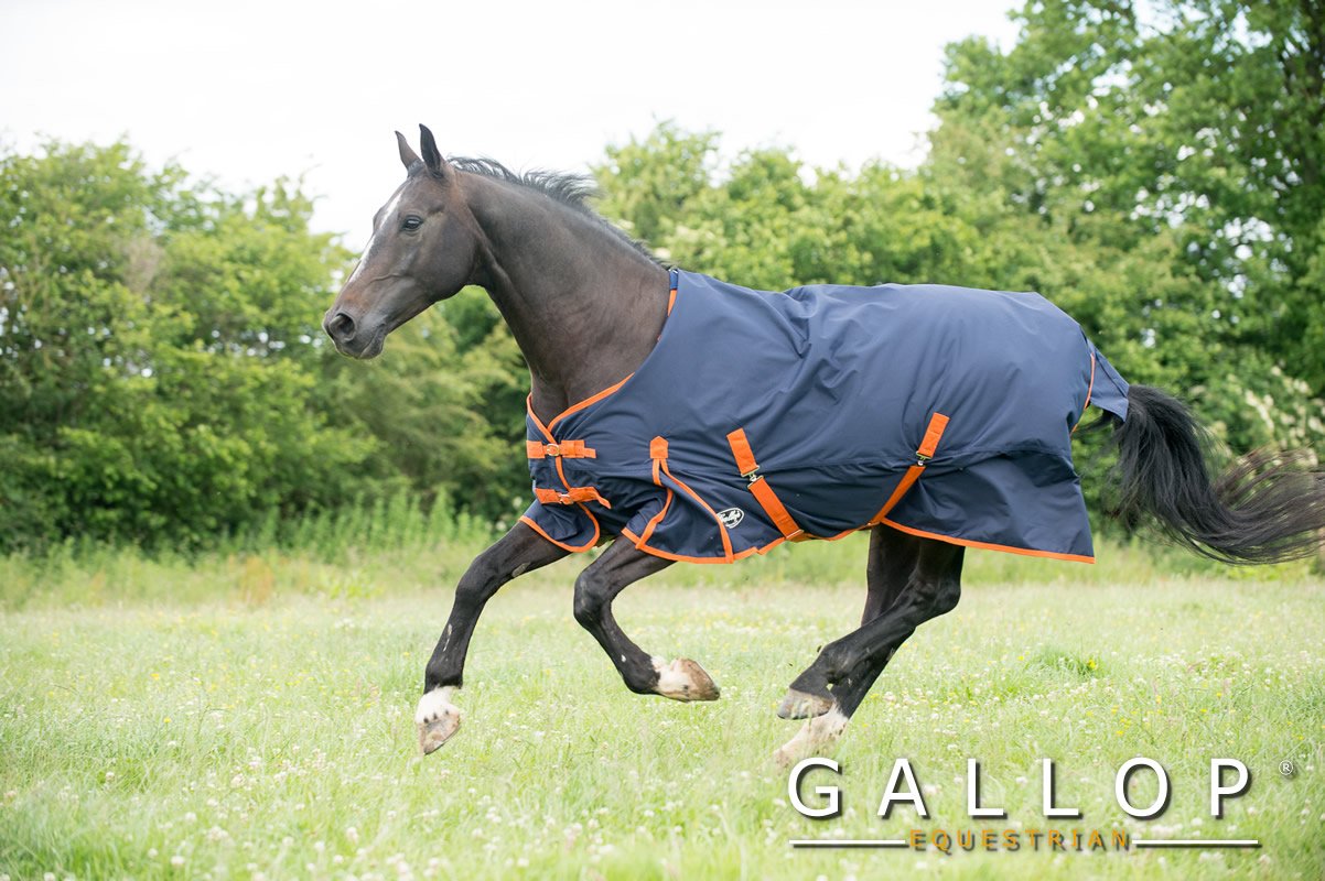 Gallop Trojan 600d Standard Neck 100g Turnout Rug 5'6" (EU 115cm) โ image 1