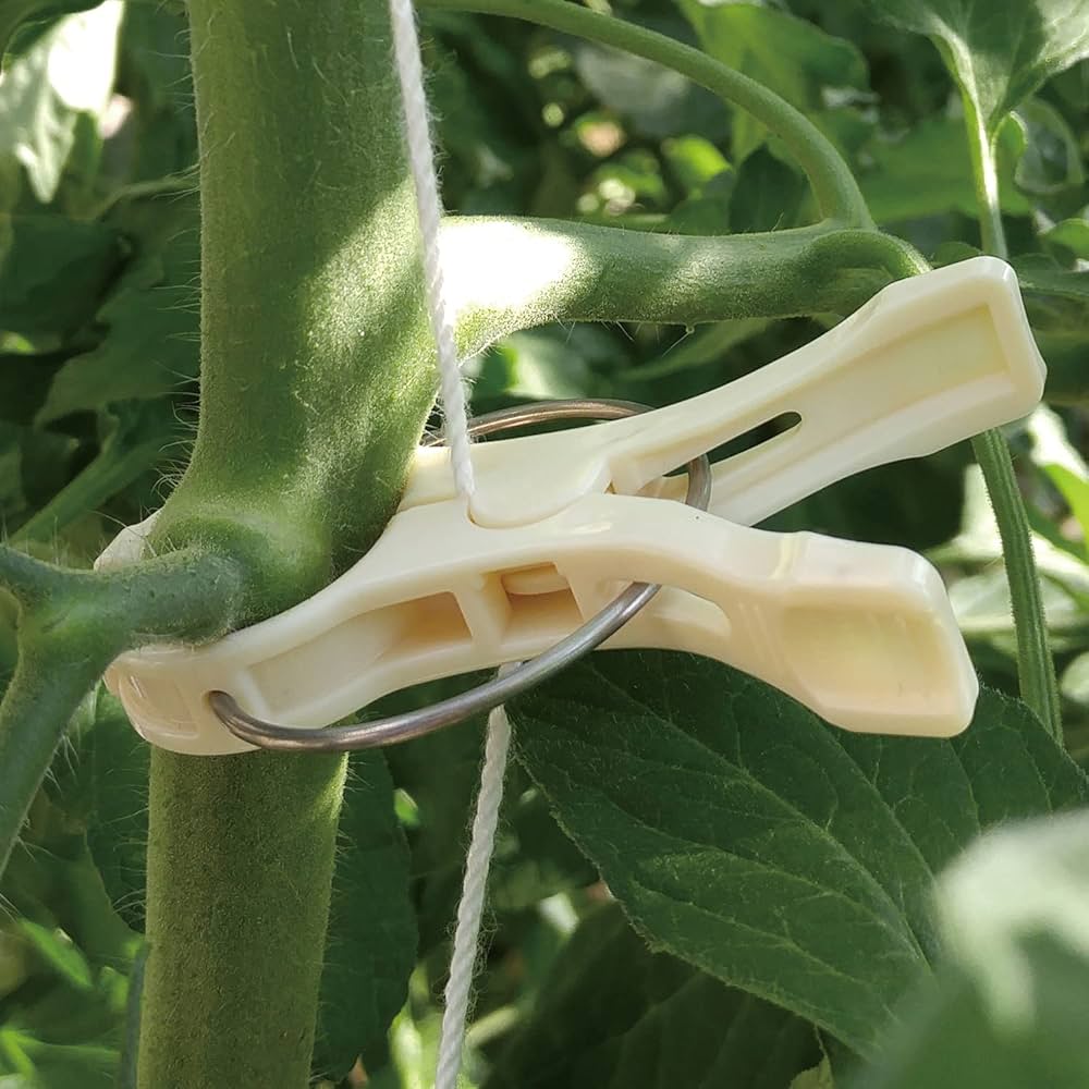 園芸クリップ　ナスニックス　とめっ子　16000個以上(半分は新品) 園芸クリップ ナスニックス とめっ子 16000個以上(半分は新品