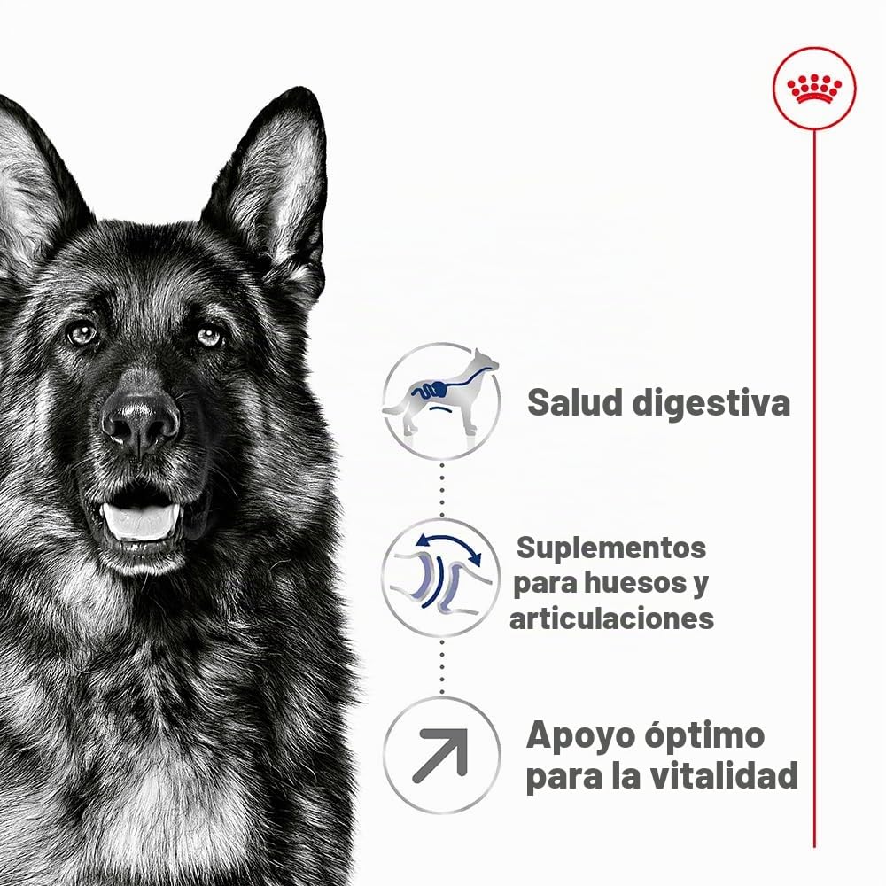 Royal Canin Comida para perros Maxi Adult +5 15 Kg