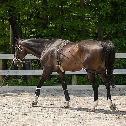 Miniatura 3 de Sistema de entrenamiento de equilibrio Dura-Tech juego completo esencial para entrenamiento de caballos  Mejora el impulso hacia adelante  Soporta