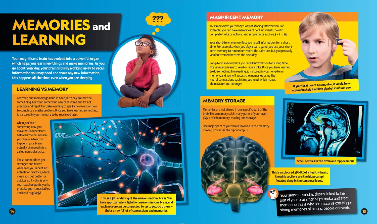 Everything: Human Body: Eye-opening facts and photos to tickle your brain!