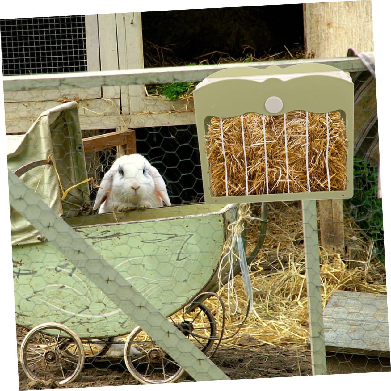 Yardwe Hasenfutterspender Mit Grasständer 2 Stück Kunststoffspender Futterspender Meerschweinchenhalter Tierfutterspender Spender Hasenständer Meerschweinchenfutterspender Käfigzubehör