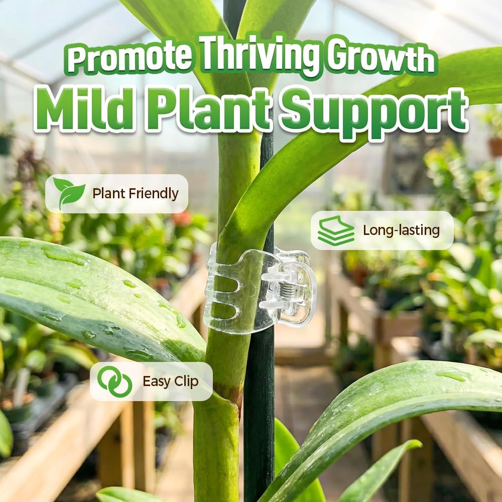 Plant Clip Secured Plastic Plant Clip, Orchid Clips Plant Orchid Support Clips Flower and Vine Clips, for Climbing Plants Clips for Tomato Grape Vine Vegetables Plant Clips (200pcs)