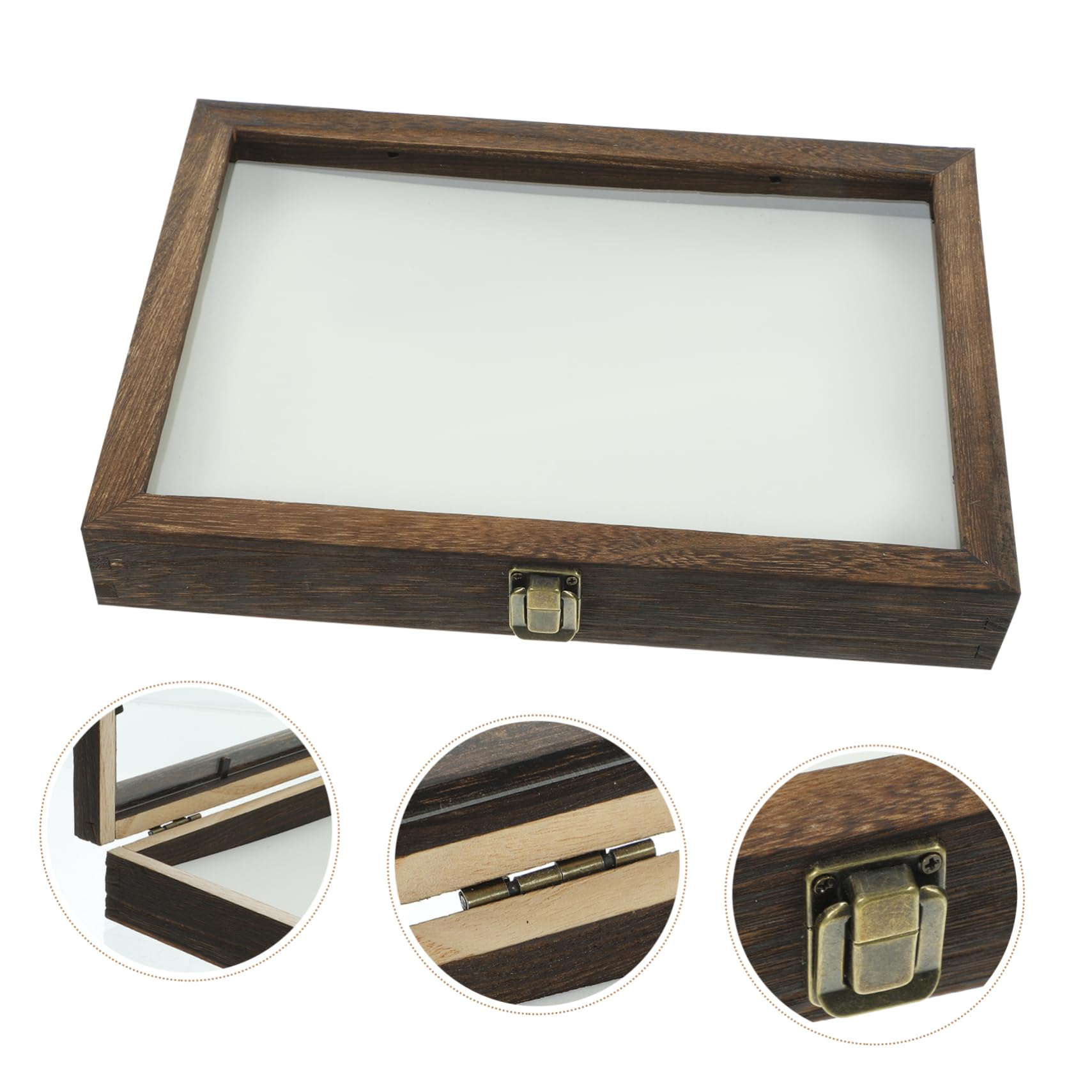 ERINGOGO Boîte De Présentation En Bois Avec Couvercle Transparent 31X8.66X1.85 Pouces Vitrine Pour Cadre De Rangement De Spécimens D'Insectes Et Pour Collection Et Affichage