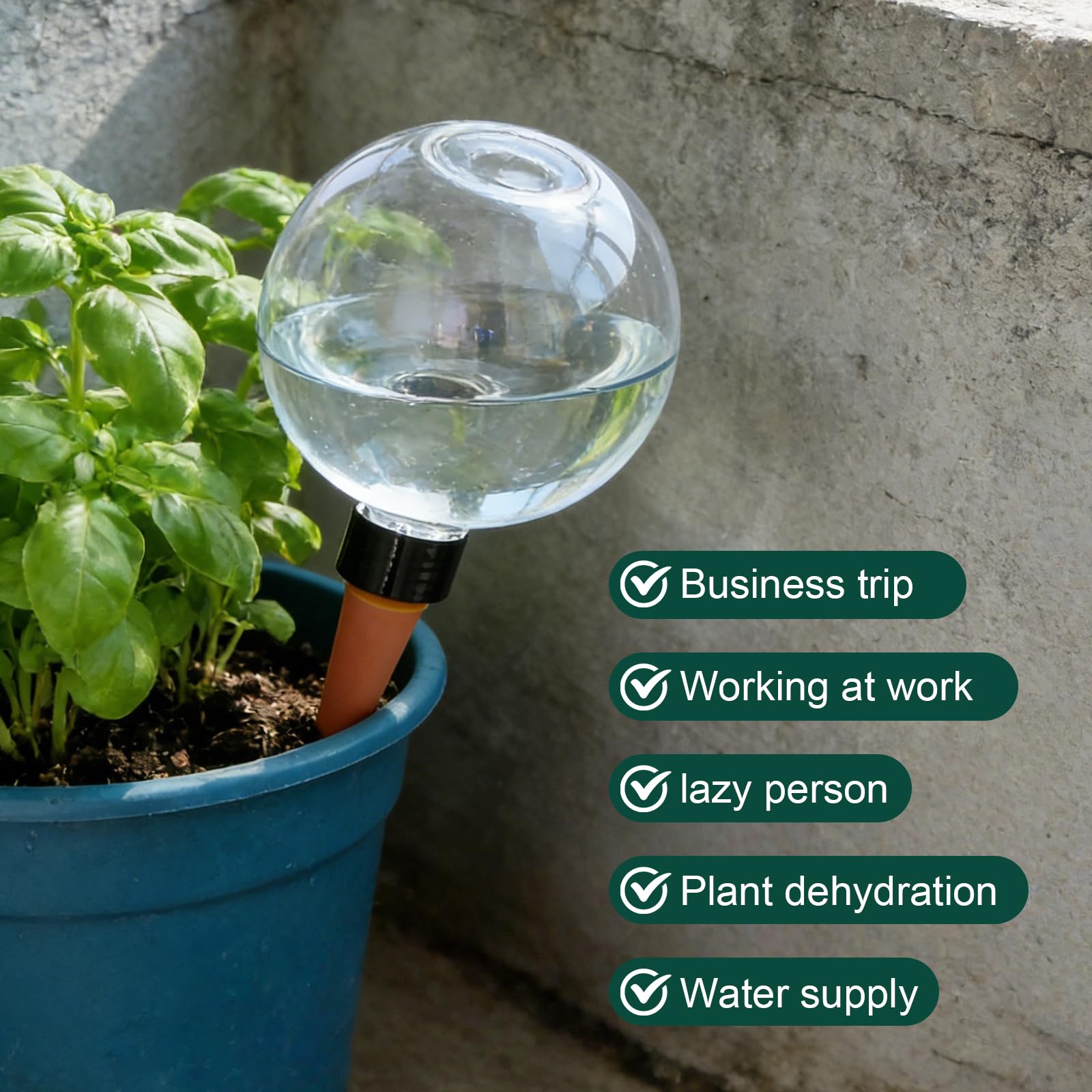 BYZESTY 4 Pièces Boules D'Irrigation pour Plant, Globes D'Arrosage de Plant 500ml, Dispositif D'Arrosage Automatique, Pieux D'arrosage des Plant pour Plantes d'intérieur, Jardin et Balcon