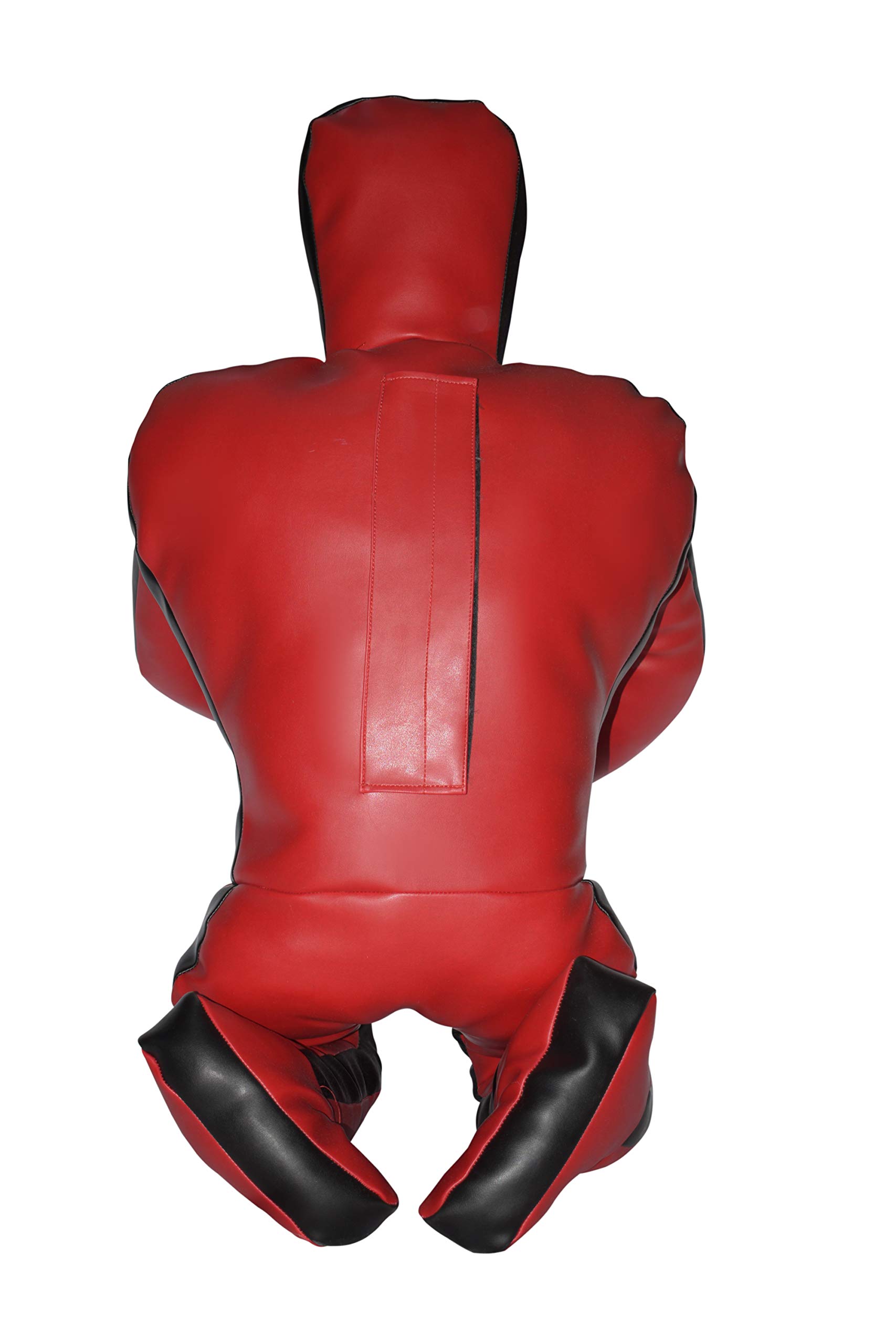 MMA, judo, lutte, arts martiaux, boxe, karaté, entraînement