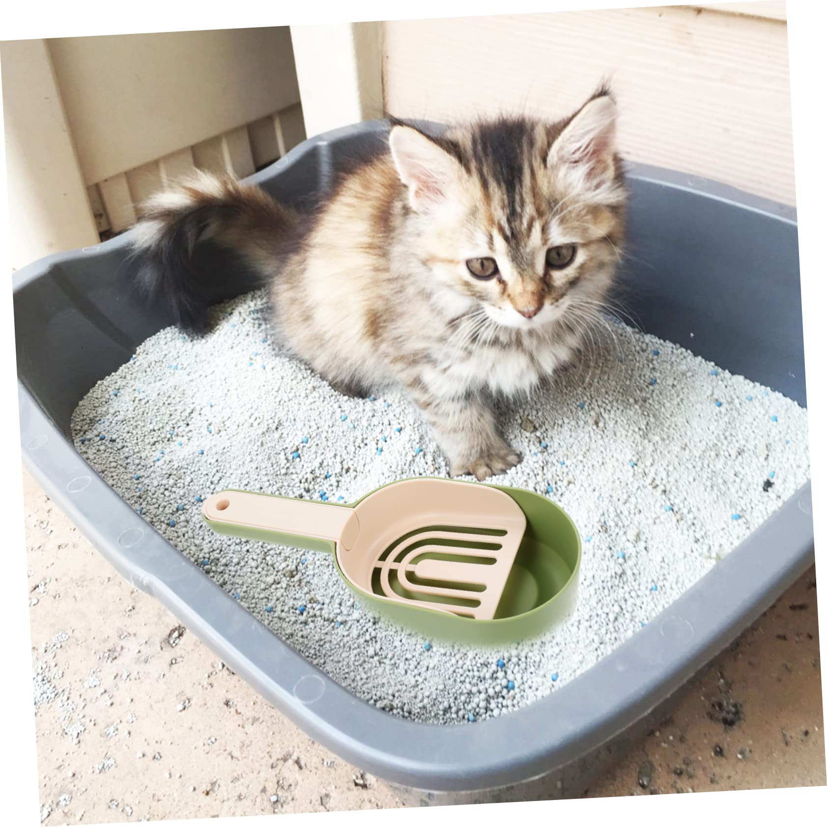 PRETYZOOM 2sets Palette per Lettiera per Multi- Accessori per della Lettiera per Gattini e Domestici Colore