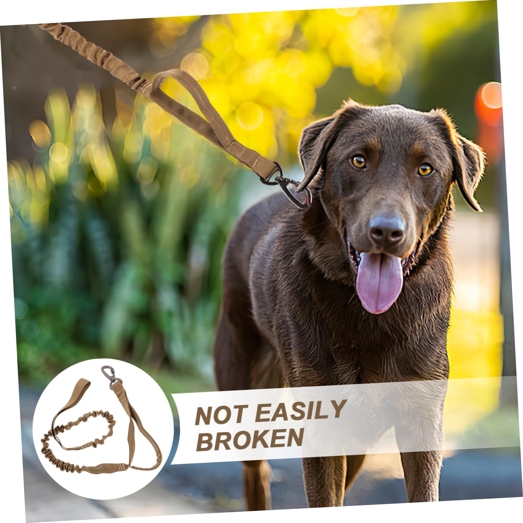 Sosoport 3pezzi Guinzaglio Regolabile Per Cani Nylon Elasticizzato Design Per Addestramento Resistente e Confortevole Da Impugnare Per Passeggiate e Addestramento Cani