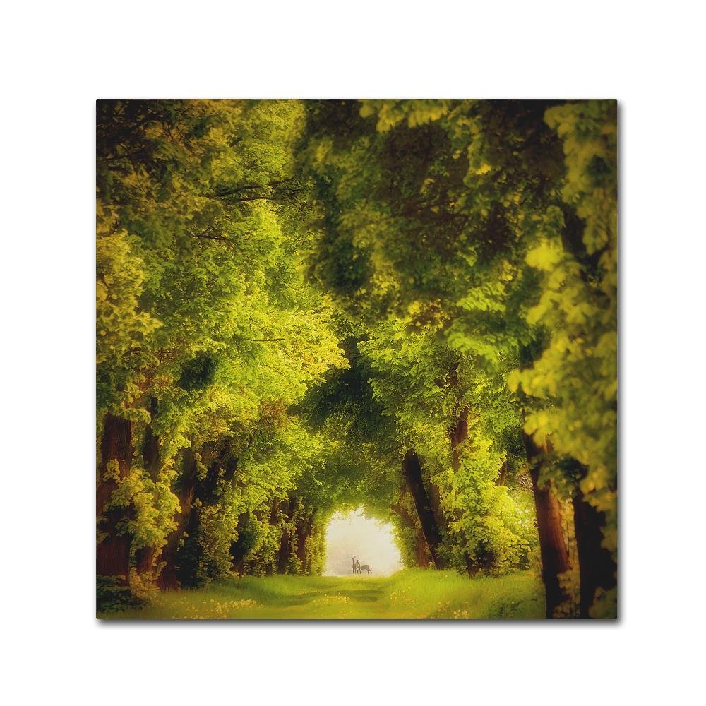 Spring Time by Piotr Krol, 18x18-Inch Canvas Wall Art