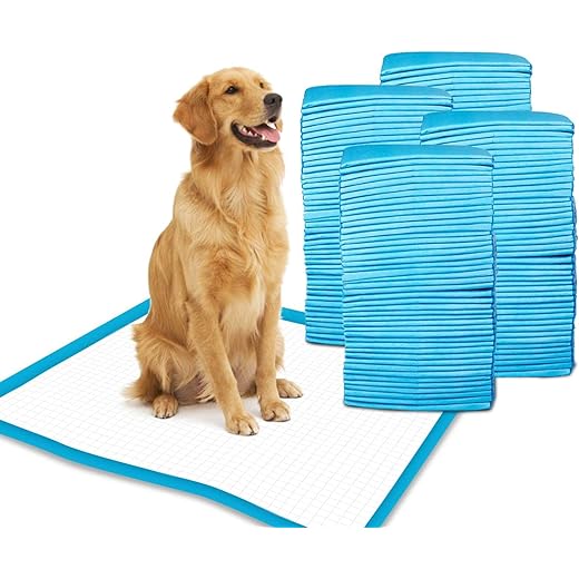 Patch & Marshall XL Pet Training Pads with Adhesive Floor Tape, 60x90 cm, Training Pee & Potty Pads, Heavy Duty,Rapid Dry & Absorbent Core, Suitable for Puppies, Small,Medium, Large Dogs (60 Count)