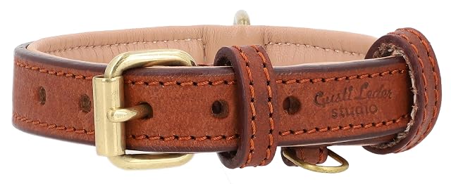 Foto 4 de 8 de Gusti Collar de perro de cuero - Jacky Collar de cuero para perro mascota de cuatro patas tamaño L marrón…