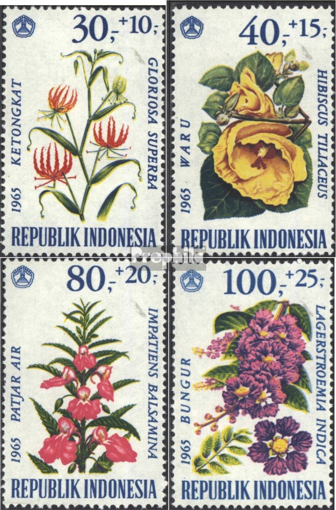 Prophila Collection indonésie 506B (complète.Edition.) Neuf avec Gomme Originale ** MNH 1966 Fleurs (Timbres pour Les collectionneurs) Plantes/ Champignons Prophila Collection indonésie 506B (complète.Edition.) Neuf avec Gomme Originale ** MNH 1966 Fleurs (Timbres pour Les collectionneurs) Plantes/ Champignons