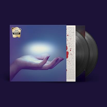 They Want My Soul (Deluxe More Soul Edition) [VINYL] por Spoon, capa do álbum