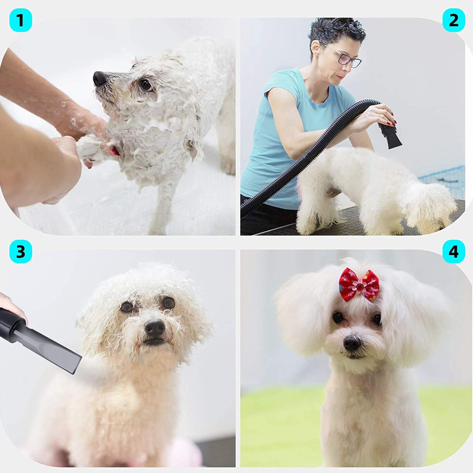 Séchoir Sèche-Poils Toilettage pour Chiens Chats Animaux 2400W Stepless Vitesse Réglable Soufflant Machine De Toilettage avec Chauffage avec Tuyau, 3 Buses en Option