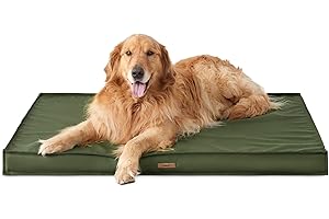 Lesure Waterproof Kong Beds for Large Dogs