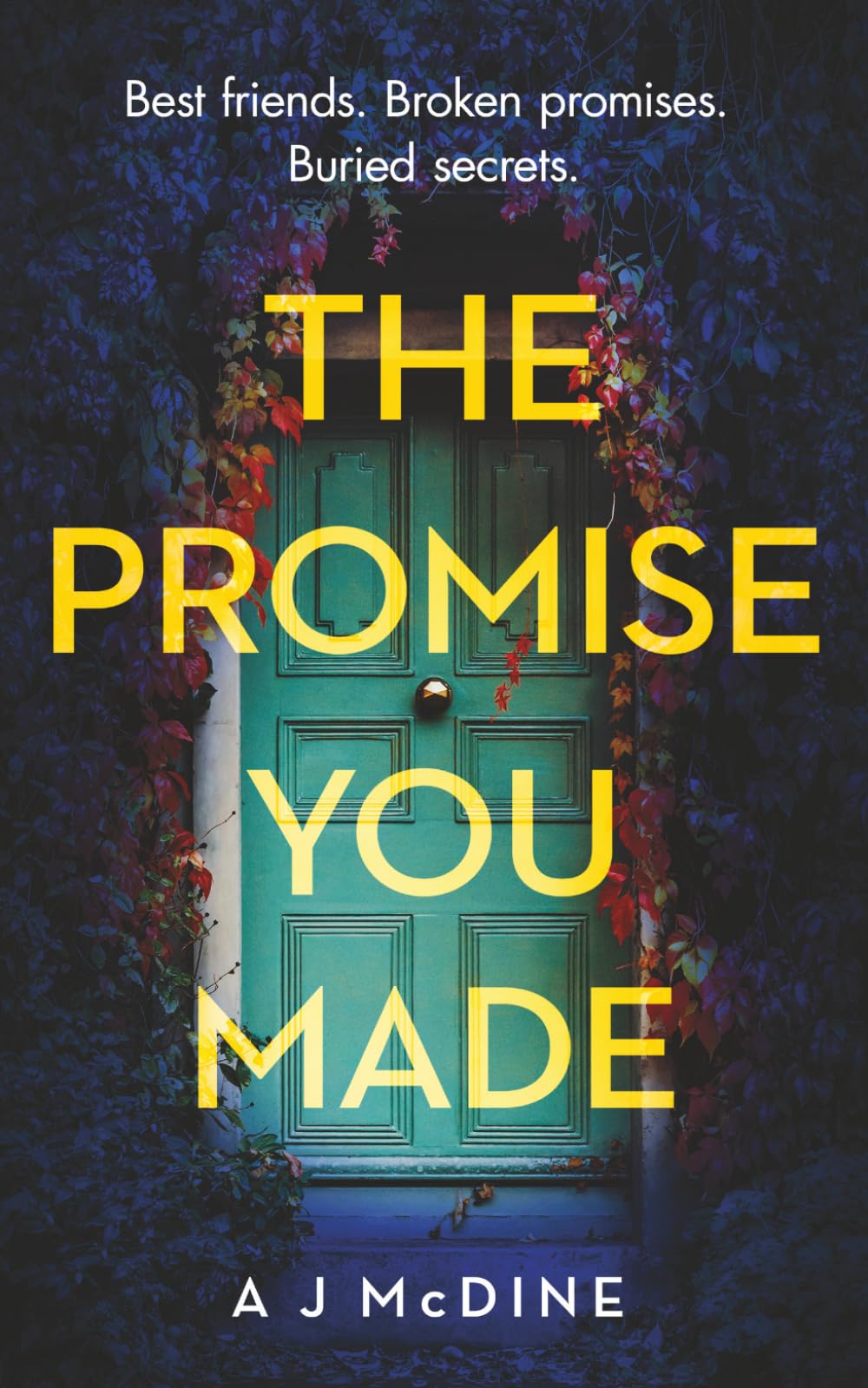 The Promise You Made