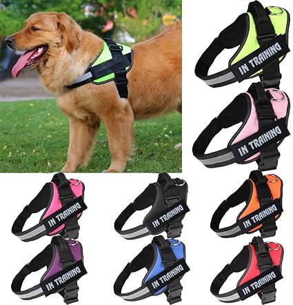 2xl dog harness