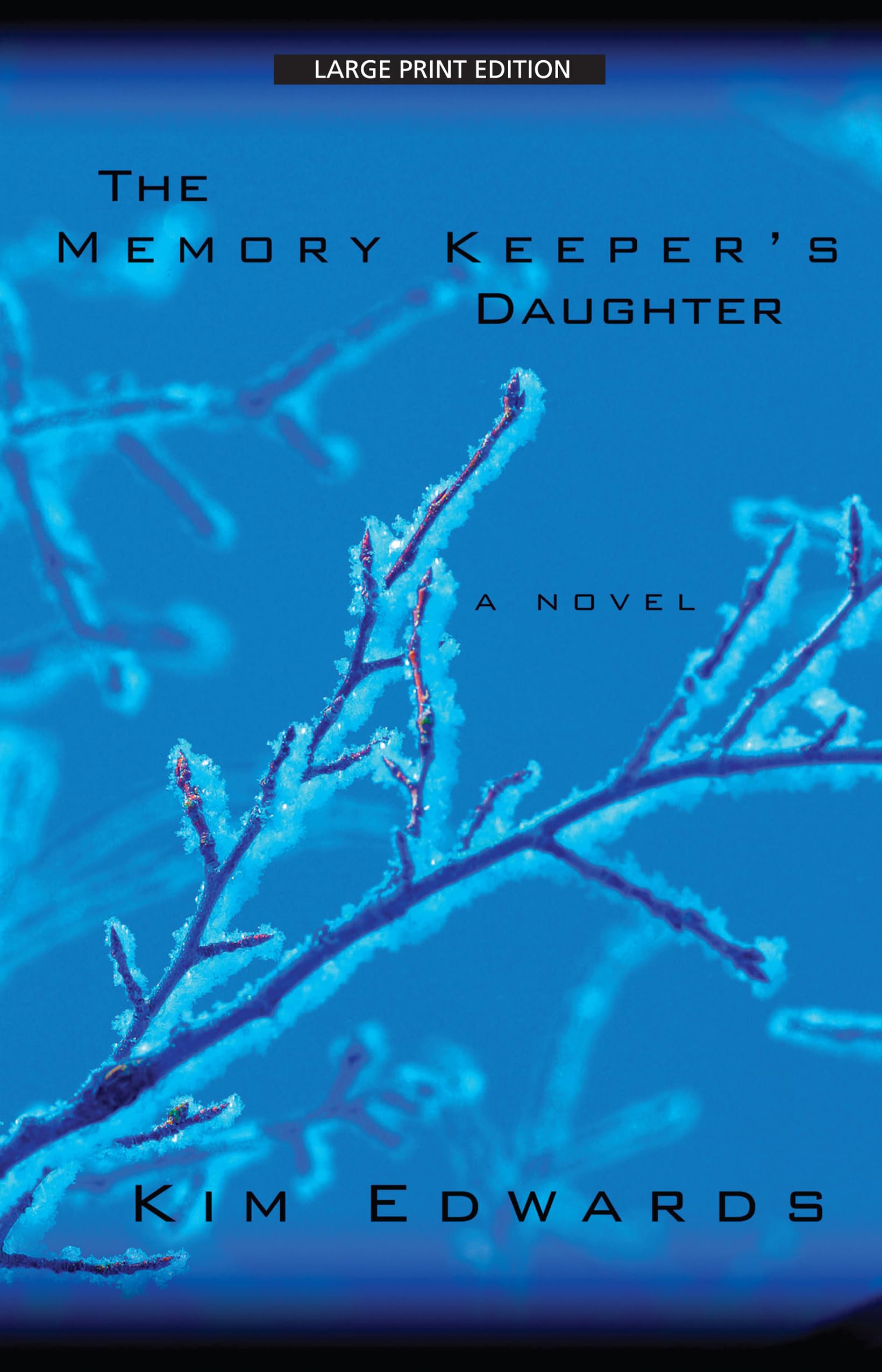 Buy The Memory Keeper's Daughter (Thorndike Paperback Bestsellers) — BookShops.in