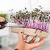Product Photo 8