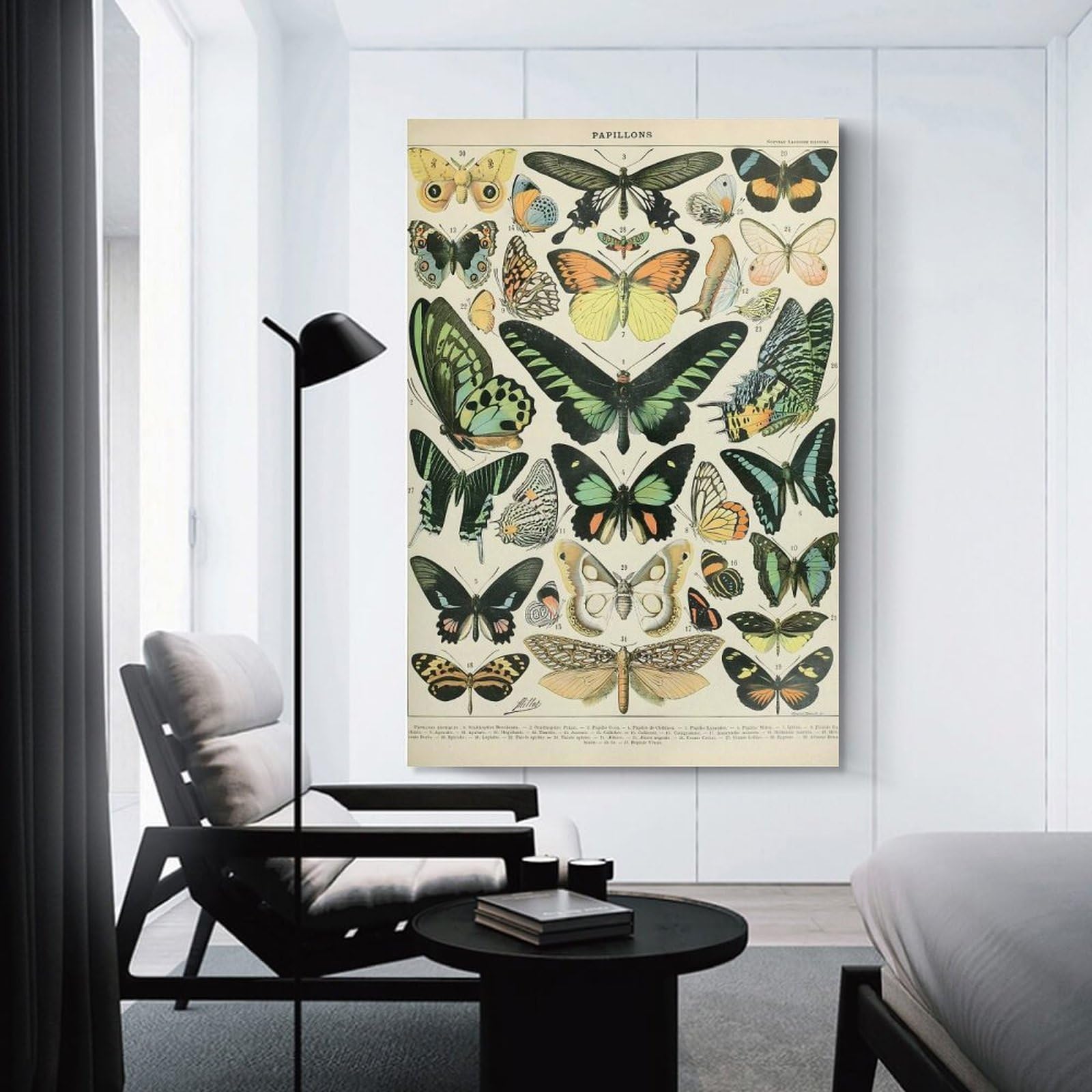 Junmoney Canvas Wall Picture Butterfly Chart, 24x36inch(60x90cm), for Bedroom Decor, Cosy Corners Or Studios, A Warm Accent for Relaxed Interiors