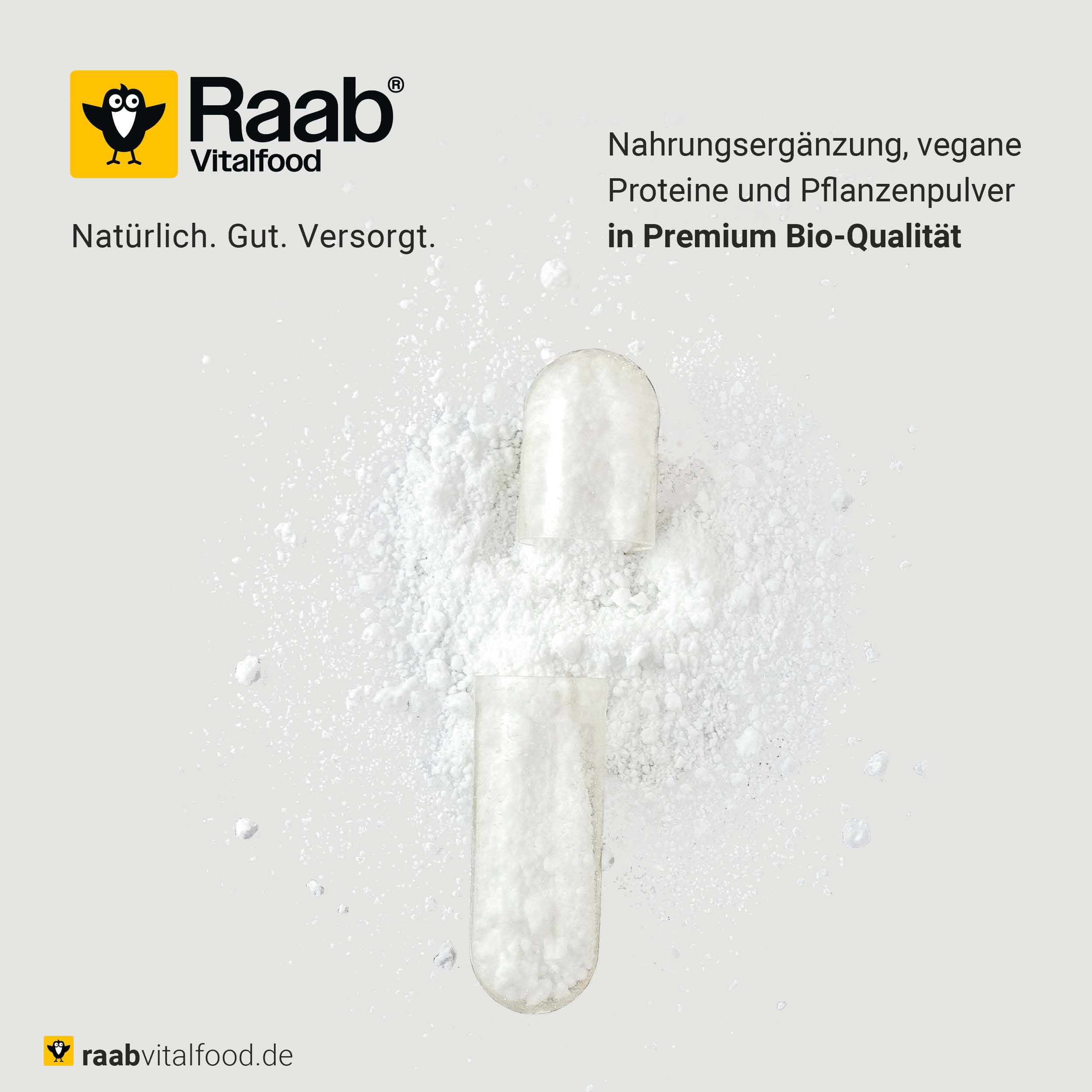 Raab Vitalfood Electrolytes Pur (320 g) - Végétalien, avec cuillère doseuse, poudre d'électrolytes sans sucre et sans édulcorant, parfait pour les sportifs en perte de liquide