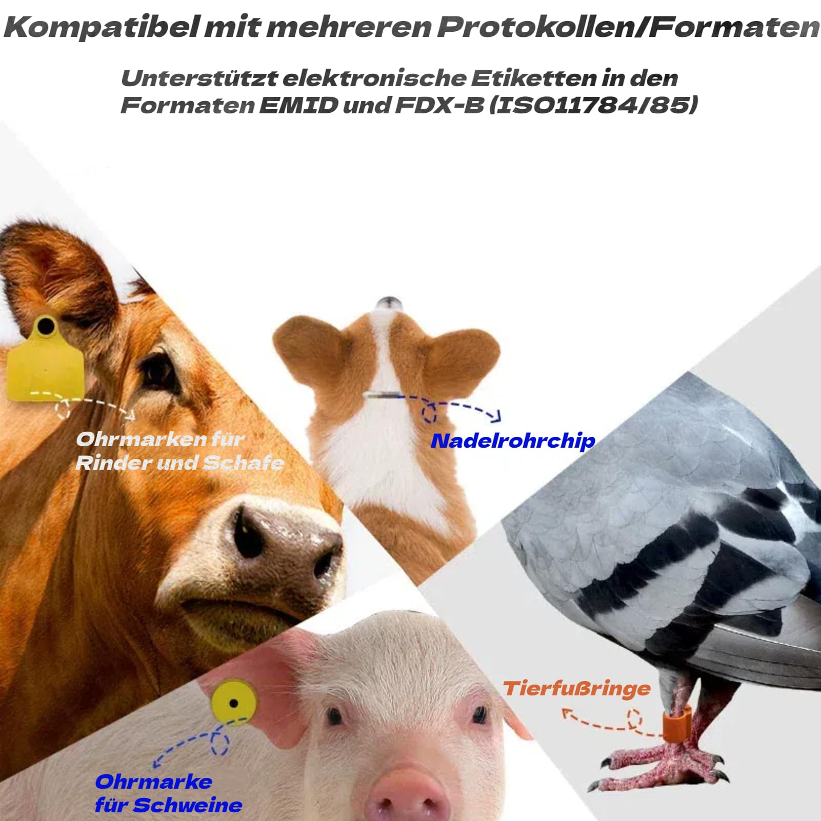 Akozon Scanner de Puces pour Animaux de Compagnie, Lecteur de Reconnaissance d'affichage Haute luminosité, Lecteur 3,7 V, pour Chiens, Chevaux, Chats, Cochons, étiquettes