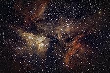 Review Image by luis pena garcia luis pena garcia