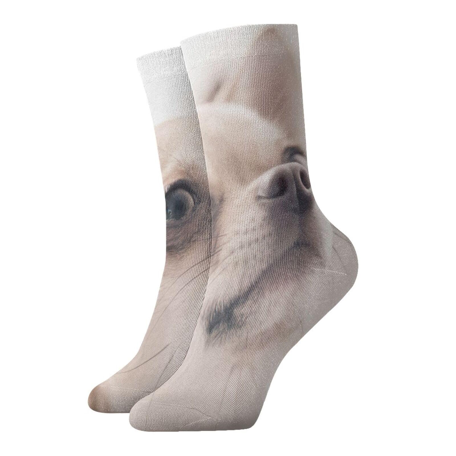 EdWal Cute Chihuahua Print Fall Warm Crew Socks For Adults Couples Cushion Boot Socks For Running Hiking Athletic