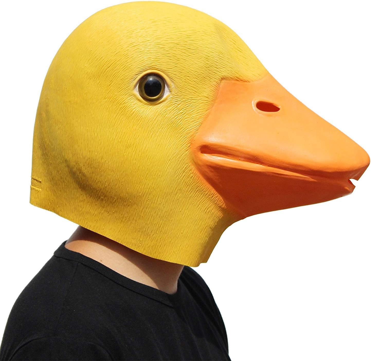 PartyHopPartyCostume Deluxe Innovative All Saints Costume Meeting Botanical Animalia Head Mask Duck