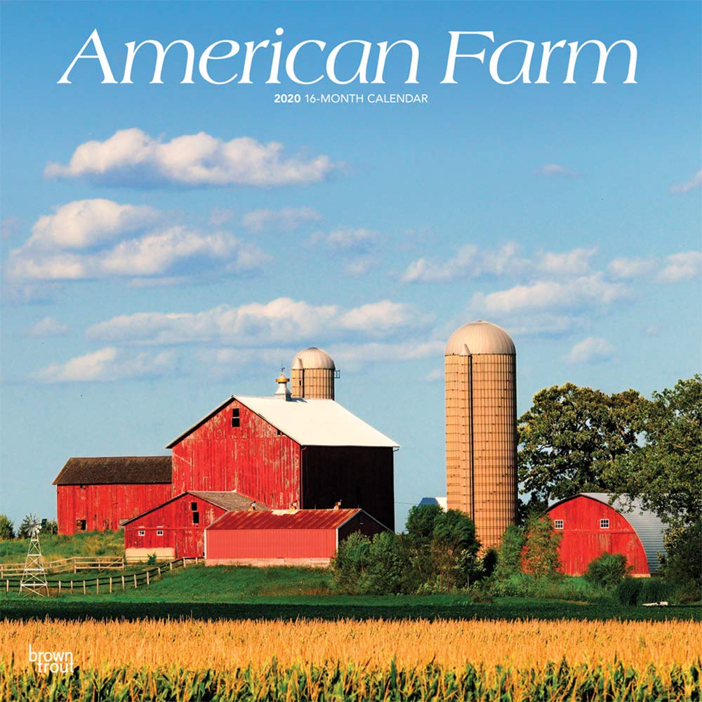 American Farm 2020 12 x 12 Inch Monthly Square Wall Calendar, USA United States of America Scenic Rural (English, French and Spanish Edition)