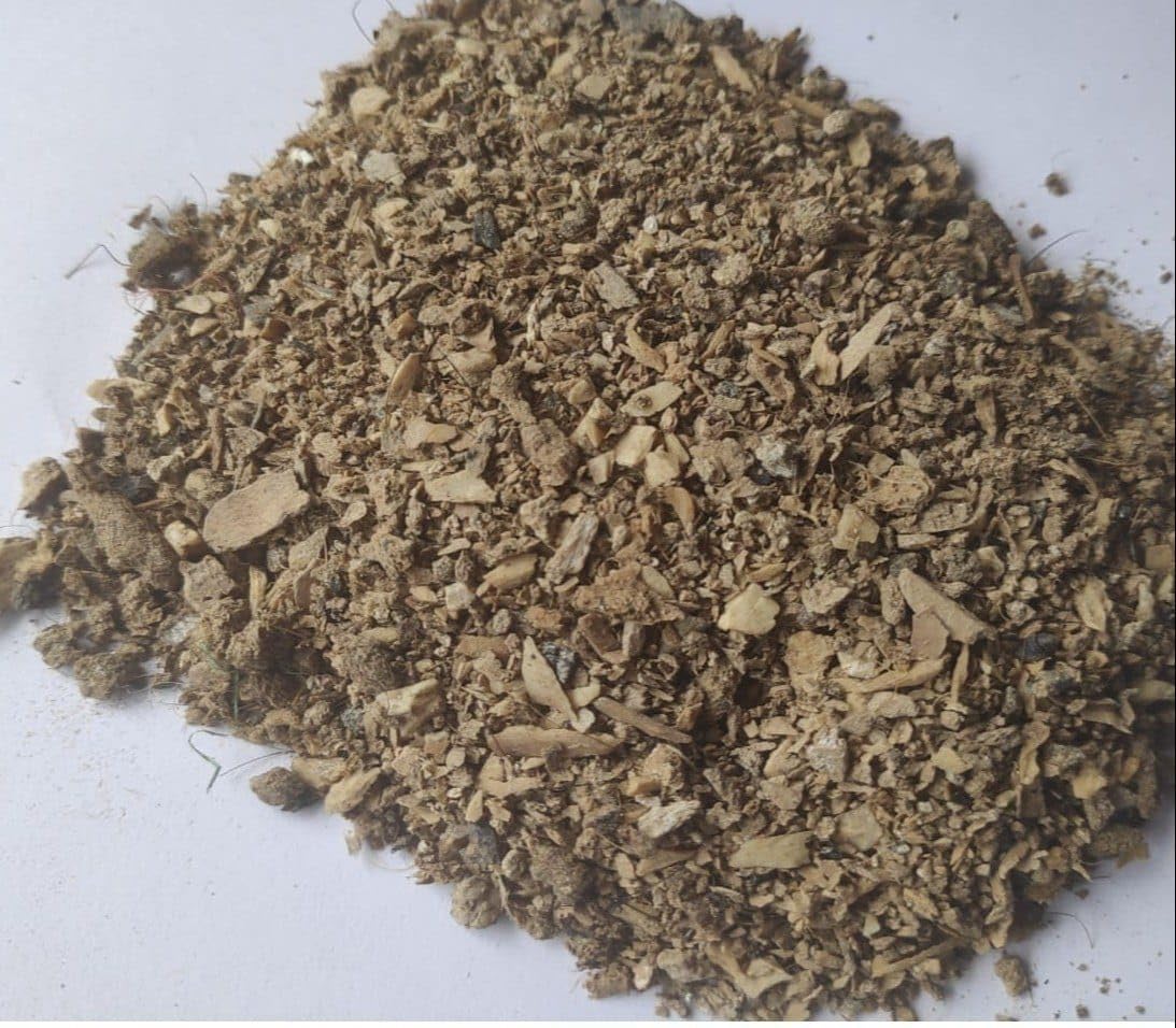 Crushed Bone Meal Supplement for Flowering Rose Beds, Fast Acting Phosphorus Feed for Brighter Flower Buds, Safe Organic Solution for Potted Houseplants (Pack Of 250g)-image-16