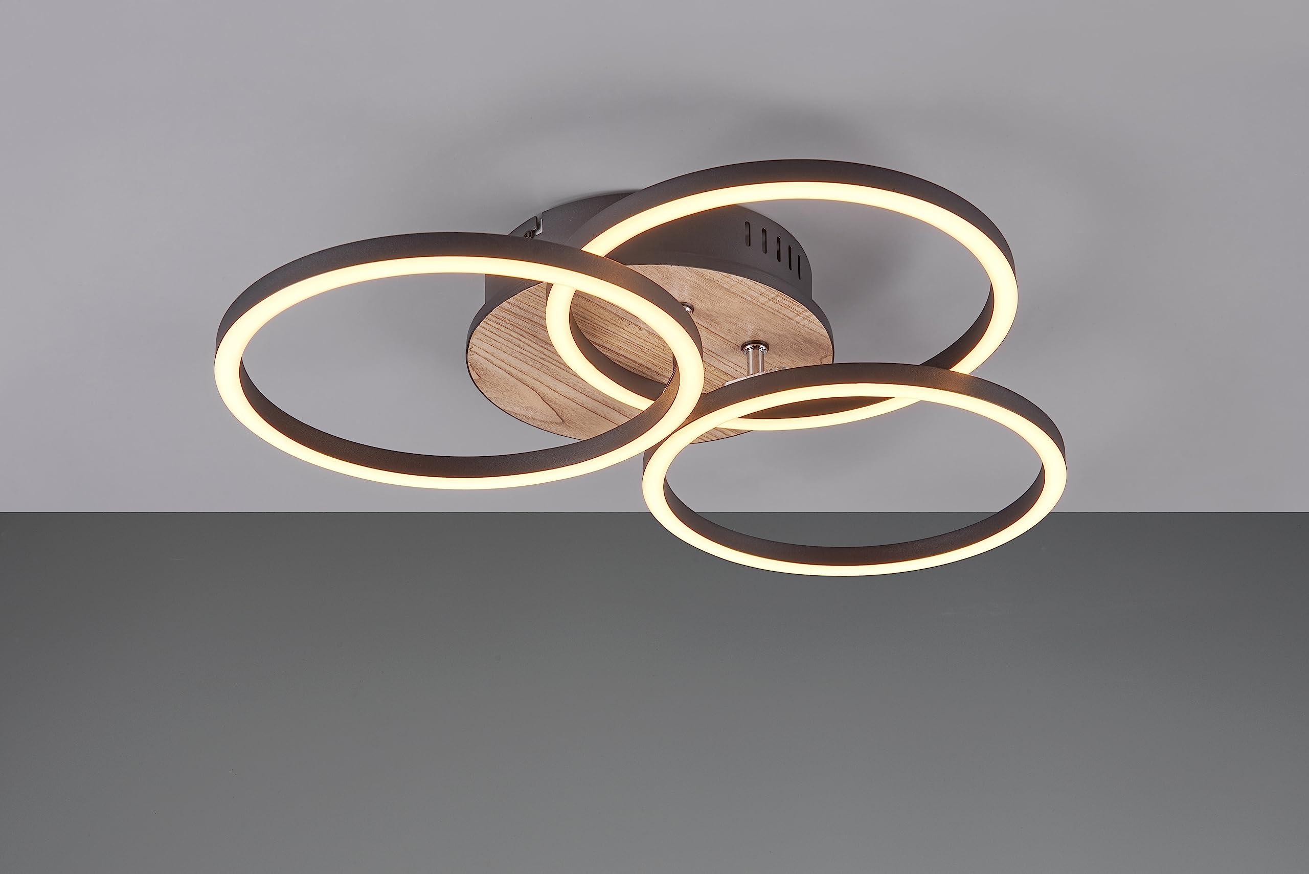 Reality, Lámpara de techo, Circle incl. 1xLED