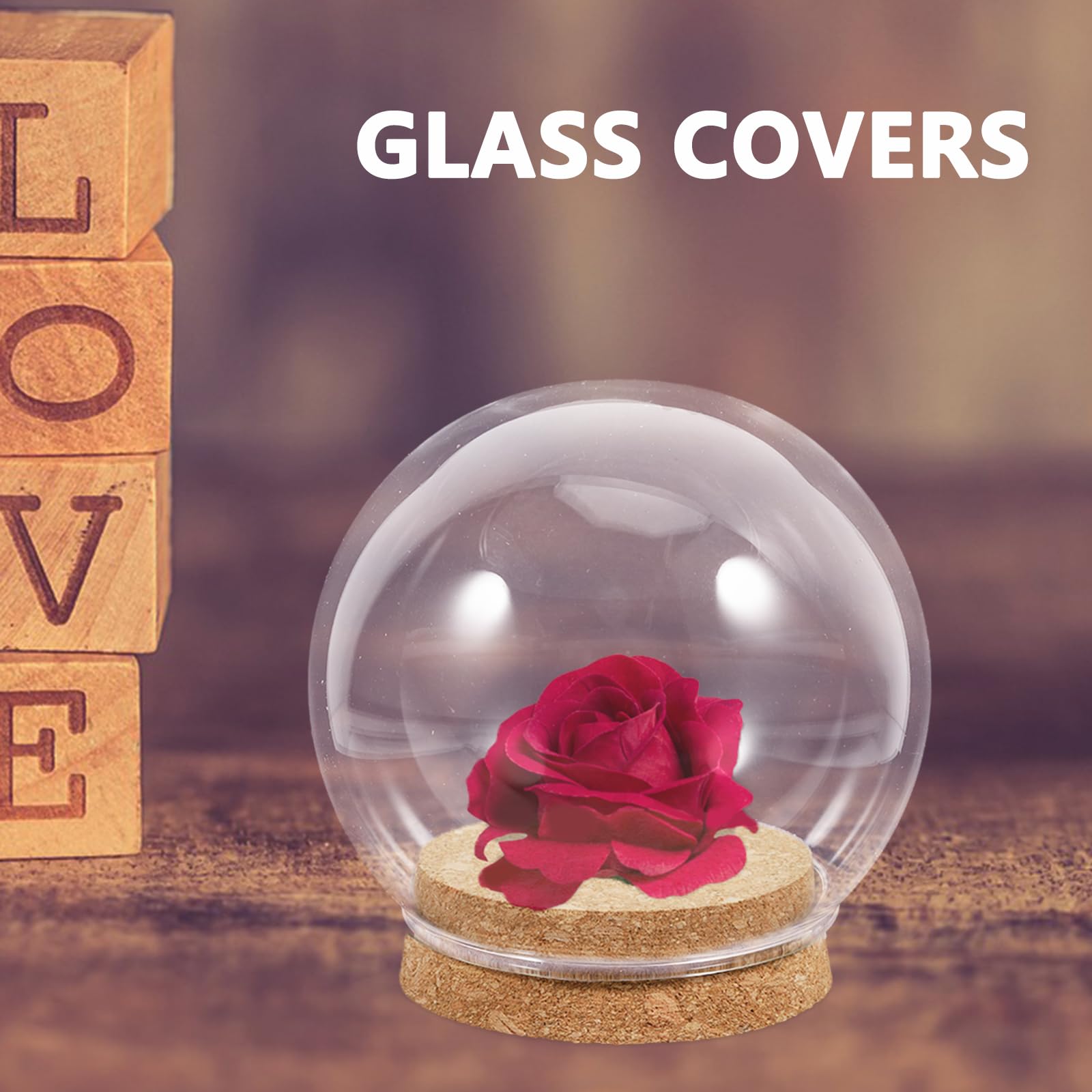 Abaodam Couvrir 5 Pièces Verre Affichage Cloche avec Liège Affichage en Verre Cloche Bocaux Décoratifs Vitrine pour Le Stockage De Fleurs Un Verre