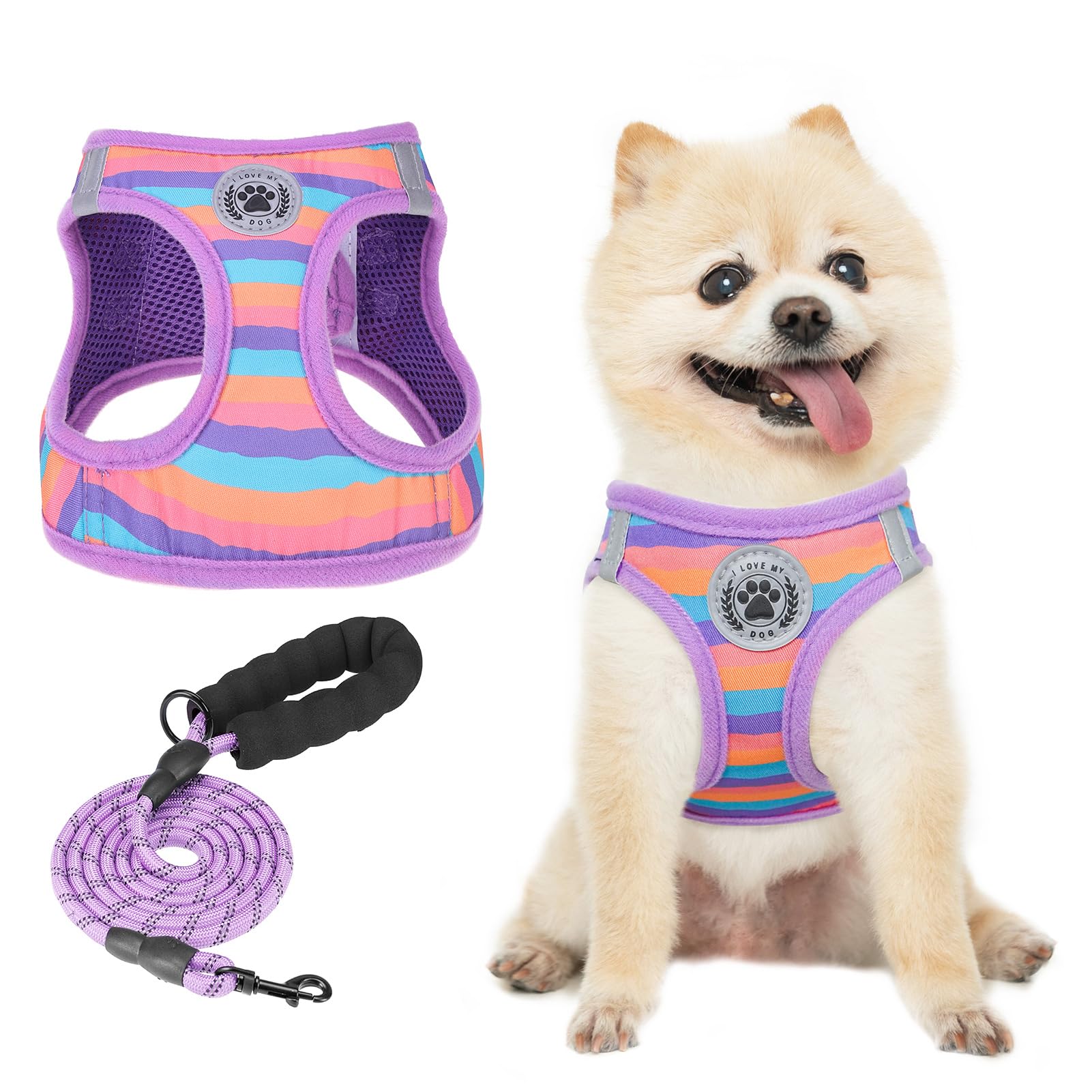 BEAUTYZOO Dog Harness and Leash Set for Small Dogs,No Pull Step-in Harness for Puppy XS S Sized Dogs and Cats,Air Mesh Adjustable Breathable Soft No