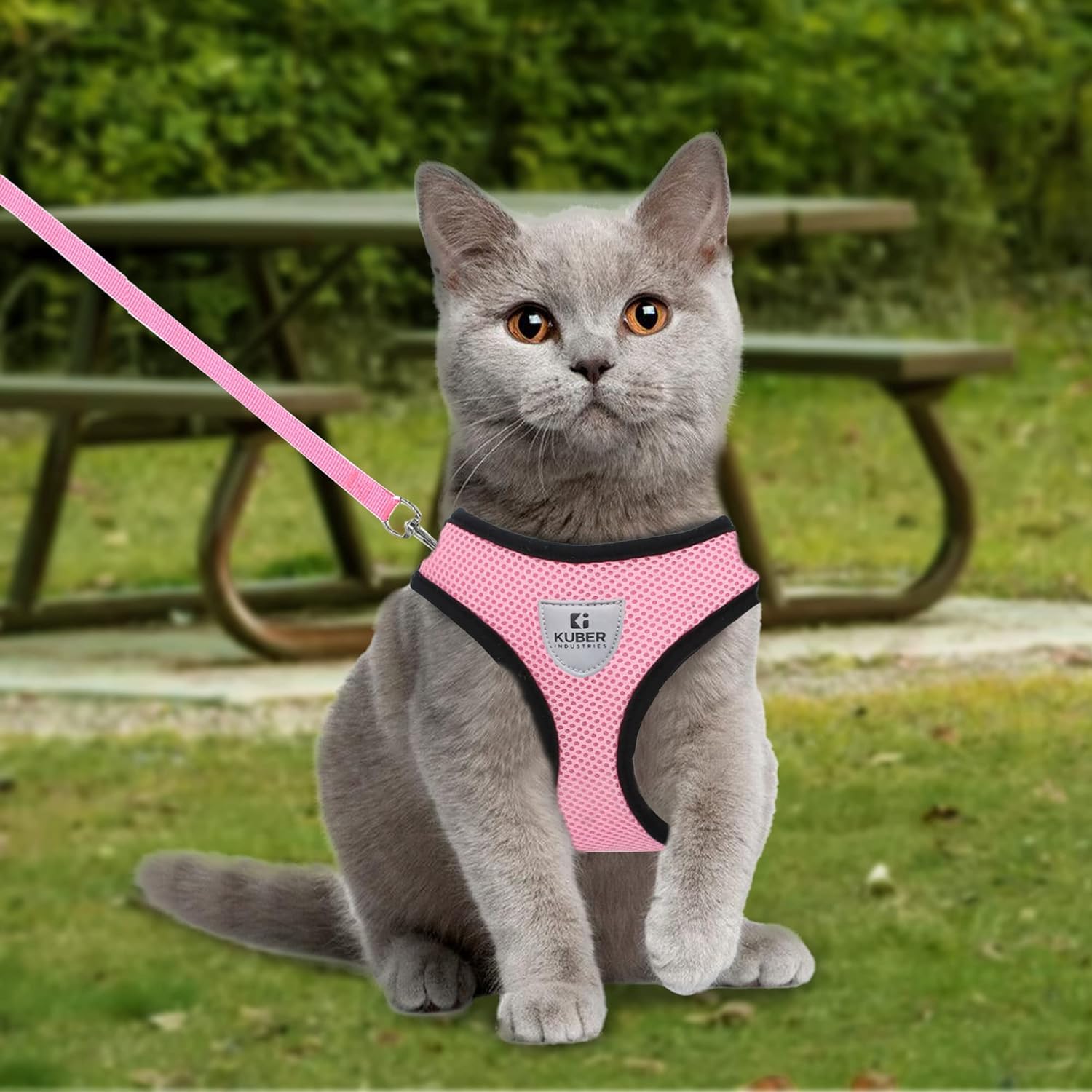 Kuber Industries Dog Harness with Adjustable Leash | Breathable Polyester Mesh | Medium Size| Comfortable No-Pull Grip | Quick Release Buckles | Pink Pet Walking Set | Secure and Stylish Dog Harness (B0CJ59Z6LJ) Amazon Price History, Amazon Price Tracker