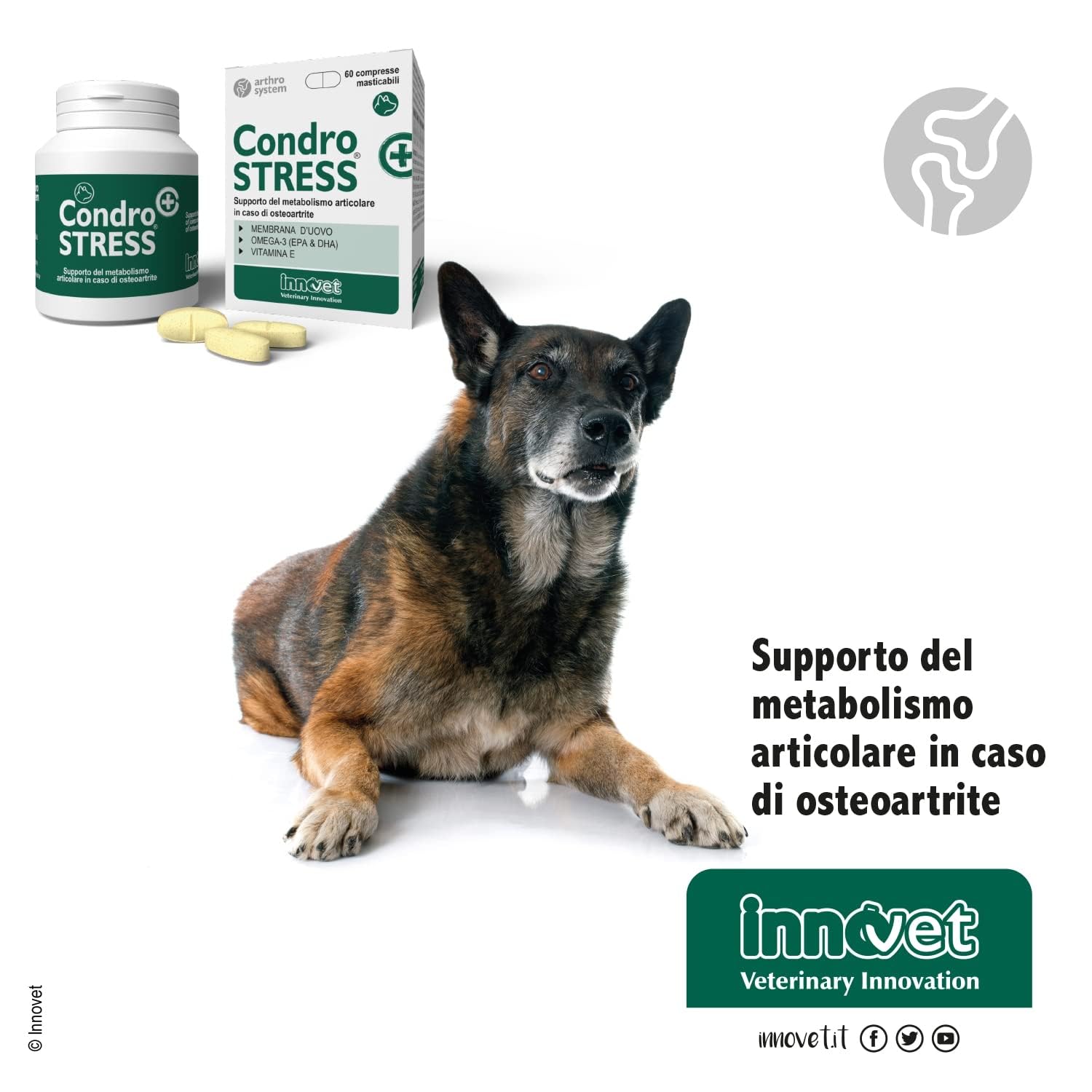 Condrostress +60Cpr Mastic