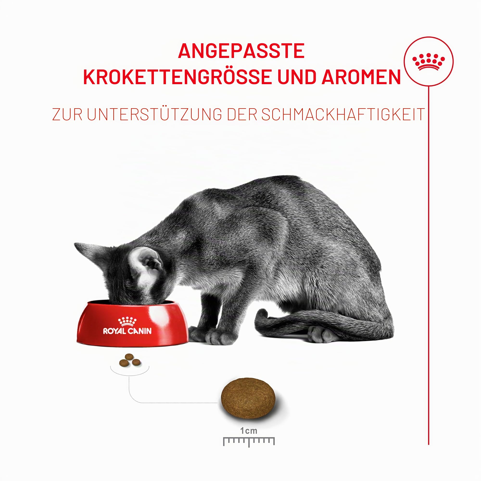 Royal Fussy Exigent Katzenfutter für Erwachsene, 1 x 10 kg