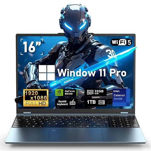 NAIKLULU Gaming Laptop 16GB RAM 1TB SSD