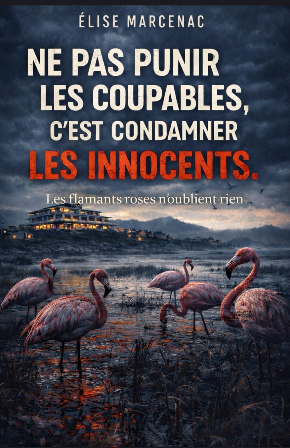 NE PAS PUNIR LES COUPABLES, C’EST CONDAMNER LES INNOCENTS : Les flamants roses n’oublient rien: un thriller noir, social et politique
