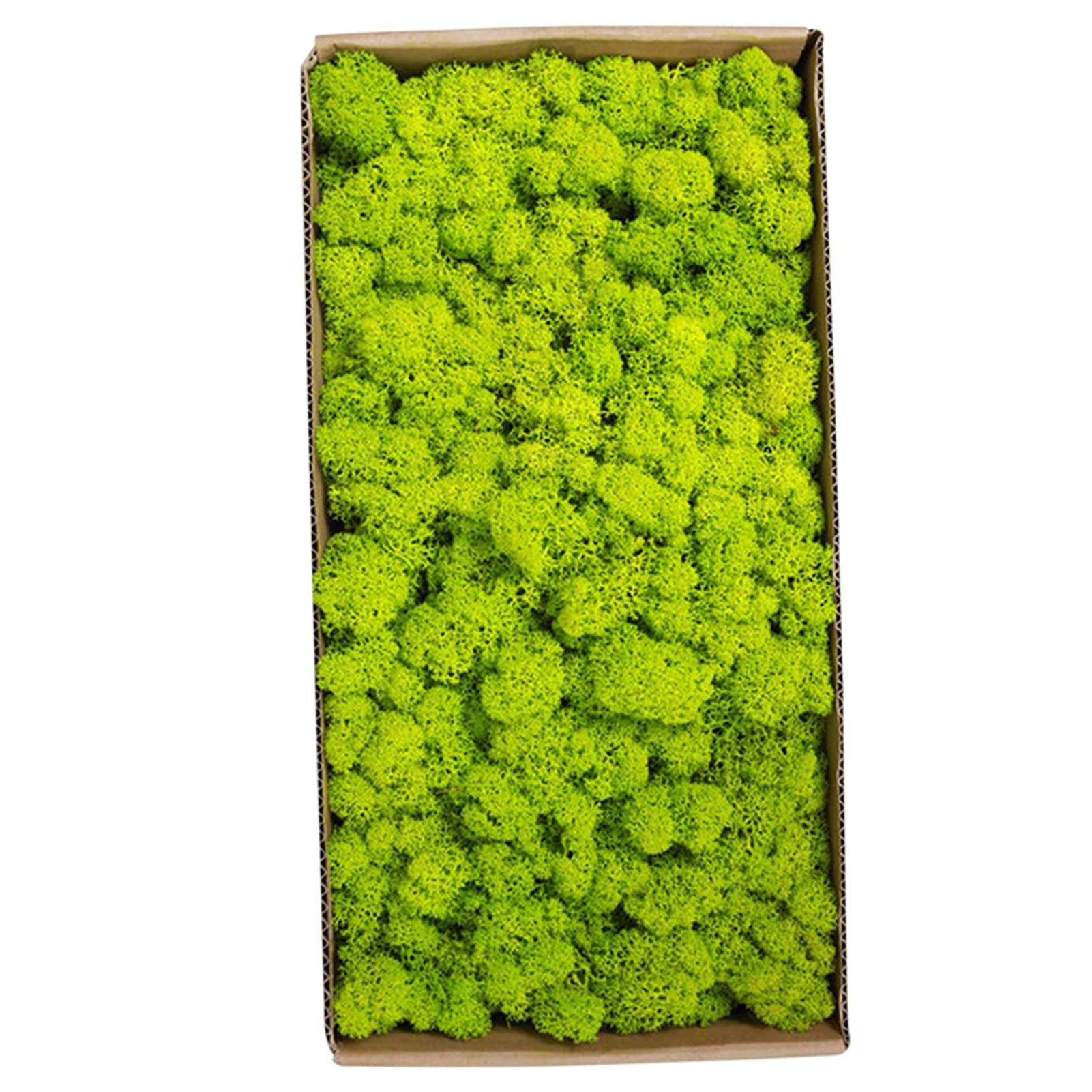DOYING Preserved Moss Preserved Moss Wall Decor Real Preserved Moss No Maintenance Required Naturally Preserved Moss for Home Wall Party Festivals Crafts Indoor Office Decoration