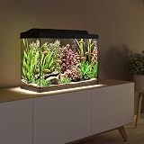 Tetra Starter Line 80 L Aquarium Komplett-Set - inkl. Tag- & Nachtlicht LED-Beleuchtung, Innenfilter, Heizer, Fischfutter und Wasseraufbereiter - 5