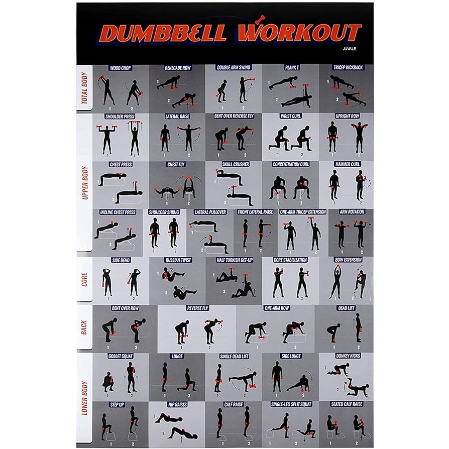 workout-poster-dumbbell-exercise-poster-laminated-free-weight-strength-training-chart-fitness-guide-for-home-gym-weightlifting-routine-effective-strength-building-exercises-20-x-30-inches-amazon-in-sports-fitness-outdoors for Dumbbell Exercises Chart Free Printable Workout Poster - Dumbbell Exercise Poster Laminated, Free Weight Strength Training Chart, Fitness Guide for Home Gym Weightlifting Routine, Effective Strength Building Exercises, 20 x 30 Inches : Amazon.in: Sports, Fitness & Outdoors for Dumbbell Exercises Chart Free Printable