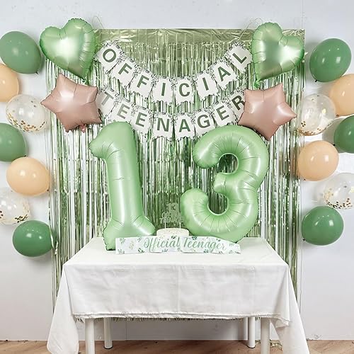 Miniatura 8 de Decoraciones de cumpleaños 21 para ella, decoraciones de fiesta de cumpleaños verde salvia 21 - Cartel de feliz cumpleaños número 21, kit de globos