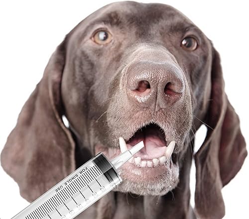 Miniatura 5 de Paquete de 2 jeringas grandes (3.4 fl oz), jeringas industriales de jardín de plástico para laboratorios científicos, medición, riego, recarga,