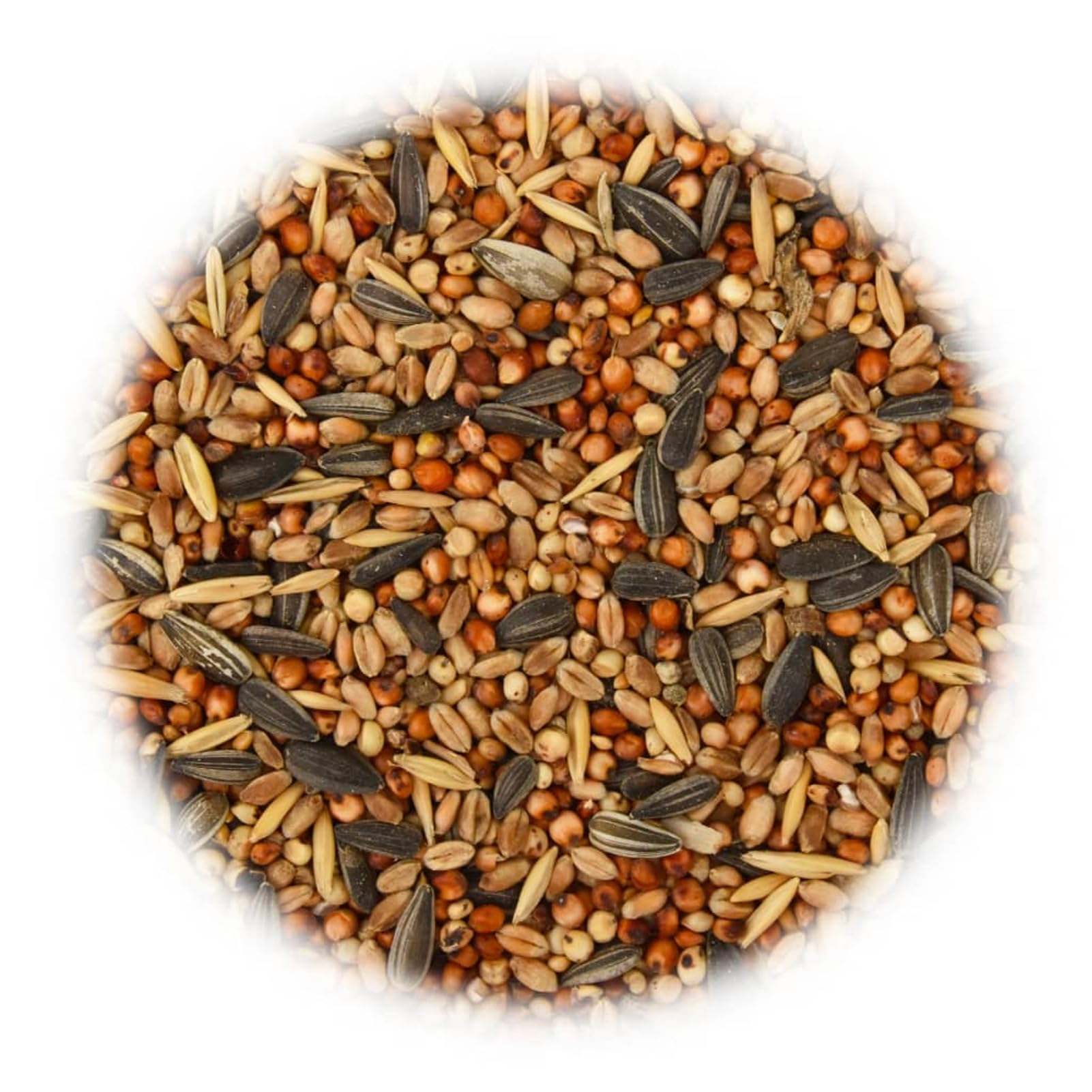Fasba Mezcla de Semillas Energéticas para Aves - 25 kg - Alimento Superior para Aves Silvestres