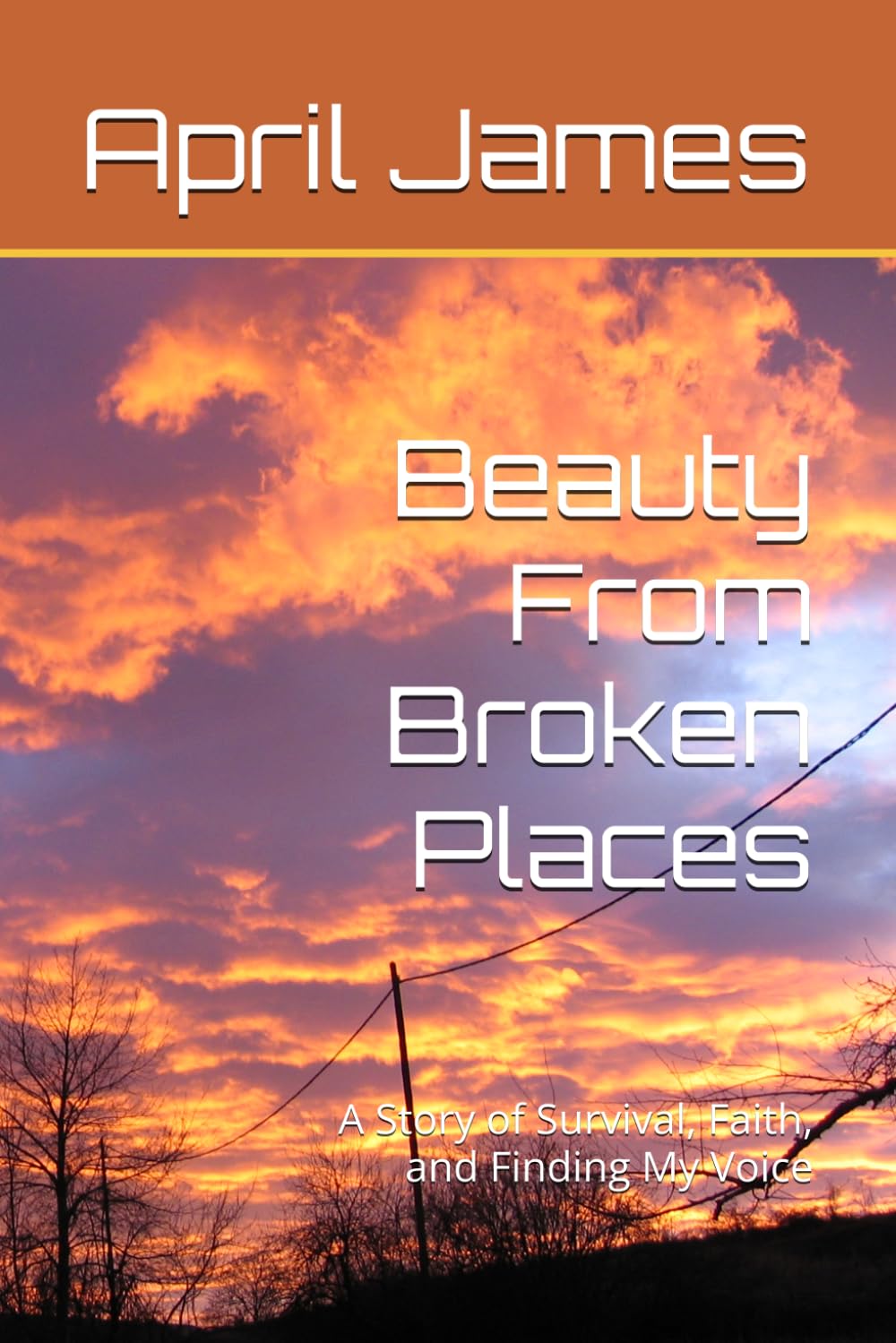 Beauty From Broken Places: A Story of Survival, Faith, and Finding My Voice