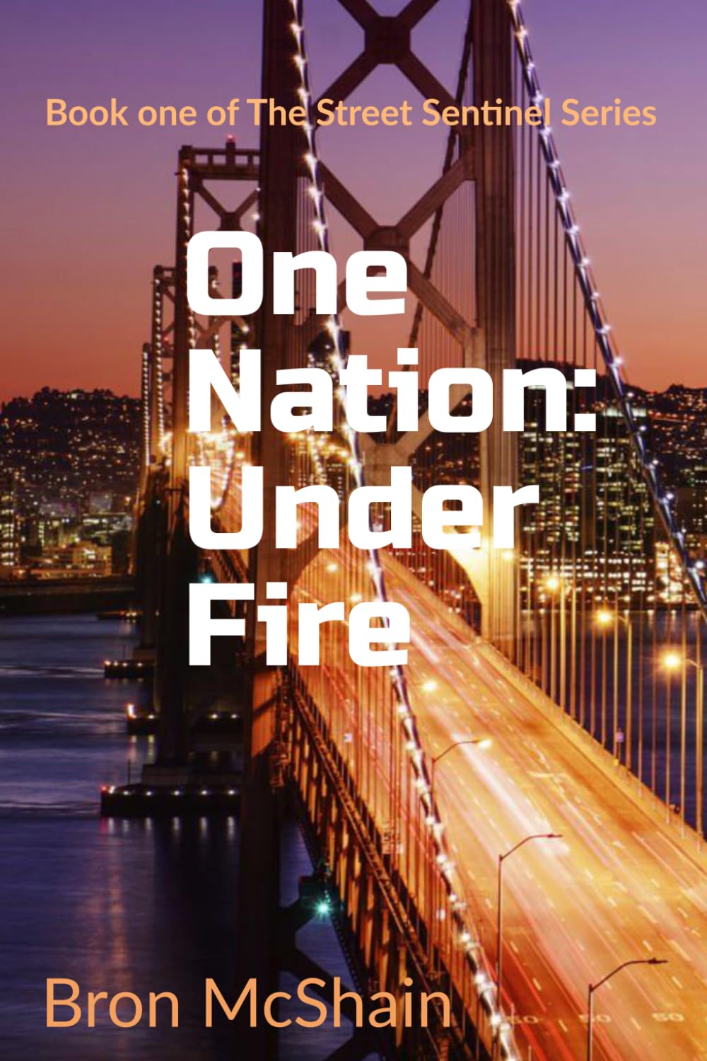 One Nation: Under Fire: Book 1 of The Street Sentinel Series